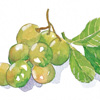 grapes